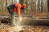 Travaux forestiers AdobeStock_47446945